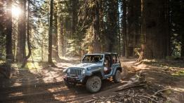 Jeep Wrangler Rubicon 10th Anniversary - widok z przodu