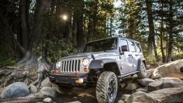 Jeep Wrangler Rubicon 10th Anniversary - lewy bok