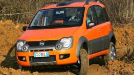 Fiat Panda Cross - widok z przodu