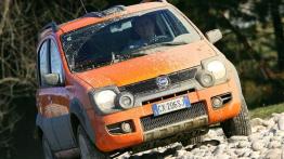 Fiat Panda Cross - widok z przodu