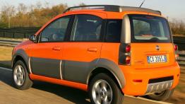 Fiat Panda Cross - lewy bok