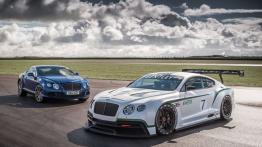 Bentley Continental GT3 Concept - widok z przodu