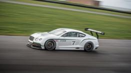 Bentley Continental GT3 Concept - lewy bok