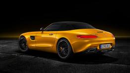 Jeszcze jeden kabriolet z rodziny Mercedes-AMG GT