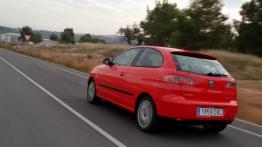 Seat Ibiza V 2.0 Sport - widok z tyłu