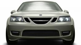 Saab 9-3 Sport Hatch Concept - widok z przodu