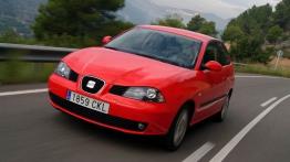 Seat Ibiza V 2.0 Sport - widok z przodu