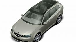 Saab 9-3 Sport Hatch Concept - dach