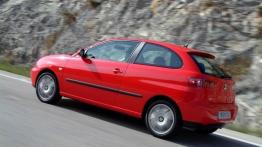 Seat Ibiza V 2.0 Sport - lewy bok