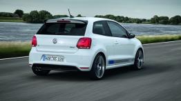 Volkswagen Polo R WRC Street - widok z tyłu