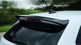 Volkswagen Polo R WRC Street - spoiler