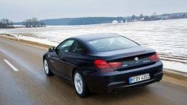 BMW Seria 6 F12-F13 Coupe 640d xDrive 313KM - widok z tyłu