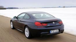 BMW Seria 6 F12-F13 Coupe 640d xDrive 313KM - widok z tyłu