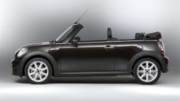 Mini Cabrio Highgate - lewy bok