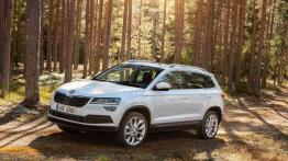 Skoda Karoq – crossover po czesku