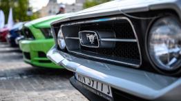 350 Fordów Mustangów w jednym miejscu!