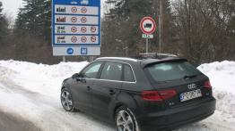 Audi A3 8V Sportback w Krynicy-Zdroju - widok z tyłu