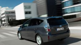 Toyota Prius Plus - widok z tyłu