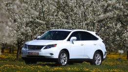 Lexus RX III SUV