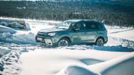 Jak jeździć po śniegu? Uczymy się na Subaru Snow Drive