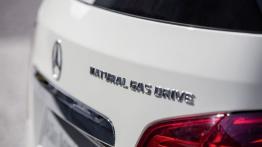 Mercedes B 200 Natural Gas Drive - emblemat