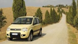 Fiat Panda 4x4 - widok z przodu