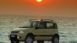 Fiat Panda 4x4 - lewy bok