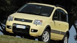 Fiat Panda 4x4 - widok z przodu