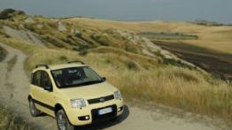 Fiat Panda 4x4 - widok z przodu