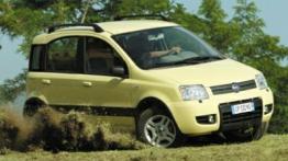 Fiat Panda 4x4 - prawy bok