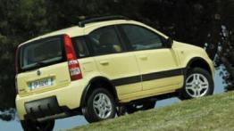 Fiat Panda 4x4 - prawy bok