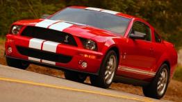 Ford Mustang Shelby - widok z przodu