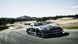 Mercedes SLS AMG GT3 45th Anniversary - widok z przodu