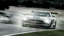 Mercedes SLS AMG GT3 45th Anniversary - widok z przodu