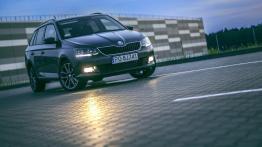 Skoda Fabia Combi 1,2 TSI Edition 1.2 TSI 110 KM - galeria redakcyjna - widok z przodu