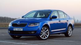 Skoda Octavia III Liftback TDI - galeria redakcyjna - widok z przodu