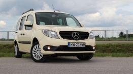 Mercedes Citan Kombi 112 - galeria redakcyjna - widok z przodu