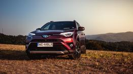 Toyota RAV4 Hybrid - galeria redakcyjna