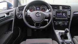 Volkswagen Golf Variant 2.0 TDI - poprawny typ