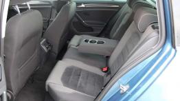 Volkswagen Golf Variant 2.0 TDI - poprawny typ