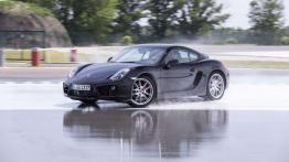 Porsche Performance Drive - perfekcja na torze