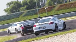 Porsche Performance Drive - perfekcja na torze