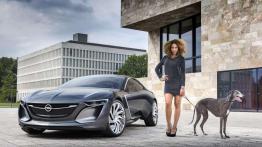 Nowy Opel Insignia - w stylu Monzy