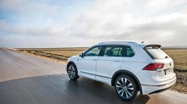 Volkswagen Tiguan - towarzysz podróży